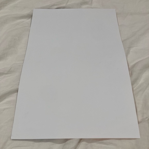 Signed “Bitch I’m Busy” Priyanka Poster - Picture 3 of 4